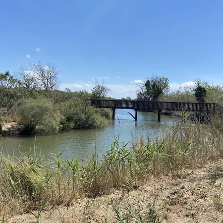 Sa020-d228 Appt 2 Pieces - 4 Personnes - Apartment